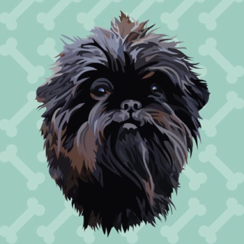 Welcome to Posh Pup🐶